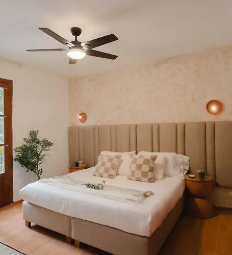 Designer House Luxury Style